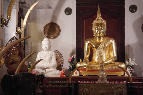 frédéric tison,photographie,temple de la dent,temple de la dent sacrée du bouddha
