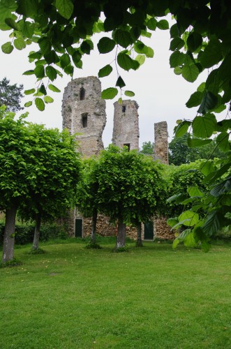 Belvédère - ruines chât reconstruit fin XV par Anne de Bretagne sur l'emplacement de celui des Monfort.jpg